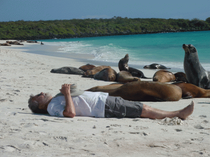 With-the-Sea-Lions